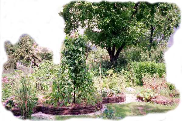 pc garden 2